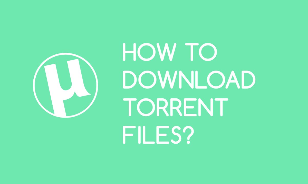 To Download Torrent You Need